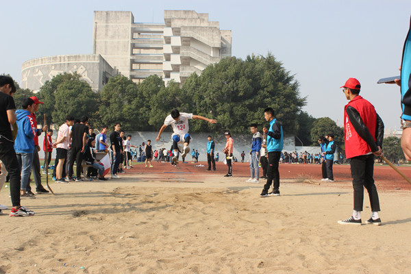 5_51762.jpg